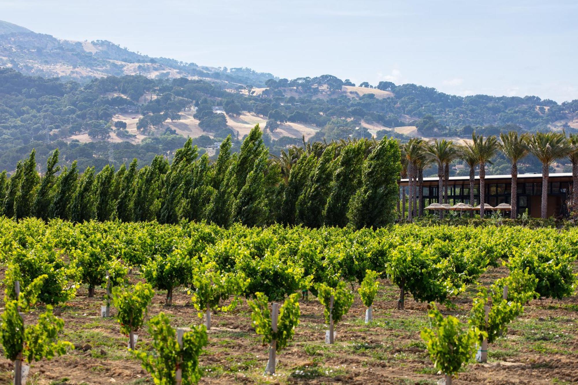 Homewood Suites By Hilton Fairfield-Napa Valley Area Cordelia Экстерьер фото